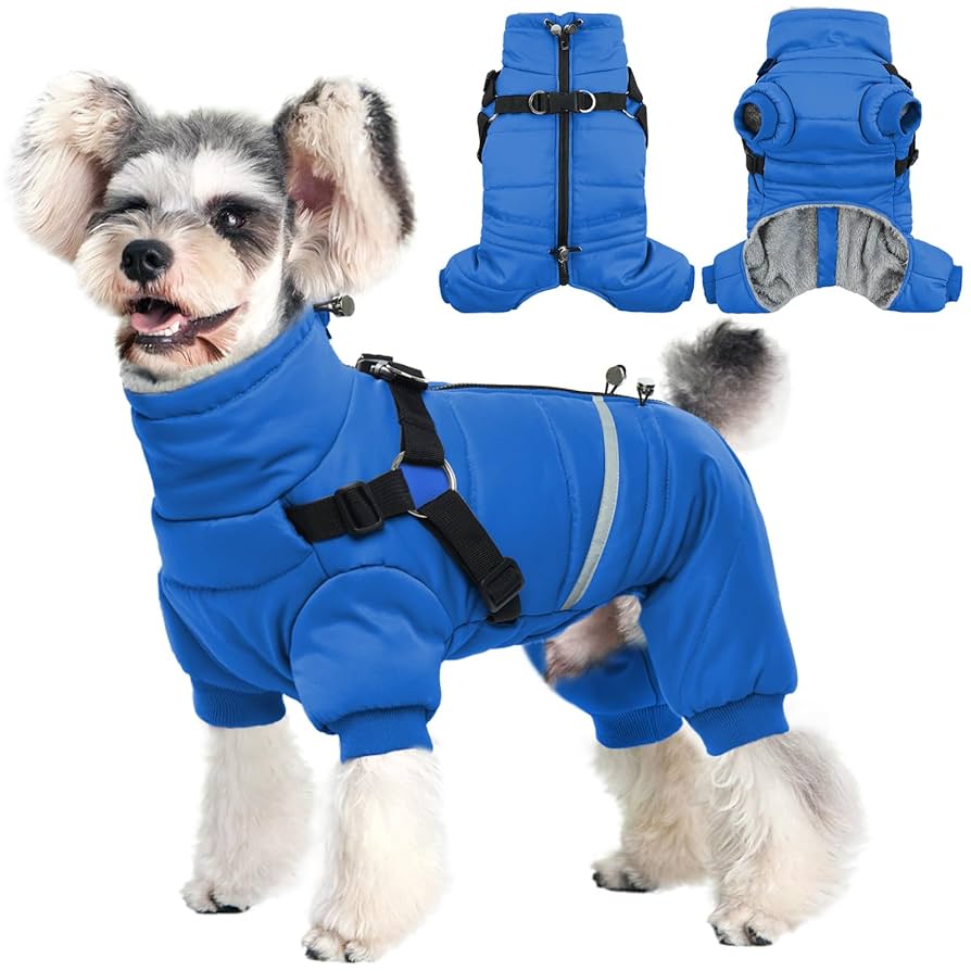 ジャケット・アウター dogs kohh coza Hjyokuso Warm Dog Jacket, Waterproof With Harness, For Small